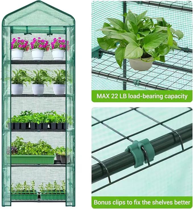 Mini Greenhouse for Indoor Outdoor: Ohuhu Small Plastic Plant Green House 5-Tier Rack Stand Portable Greenhouses with Durable PE Cover for Seedling, Ideal Gardening Gifts for Women Men by GreenHaven Gardens