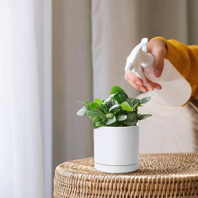 D'vine Dev 3.5 Inch Ceramic Planter Pot with Drainage Hole and Saucer, Indoor Cylinder Round Planter Pot, White, 94-O-A-1 by GreenHaven Gardens
