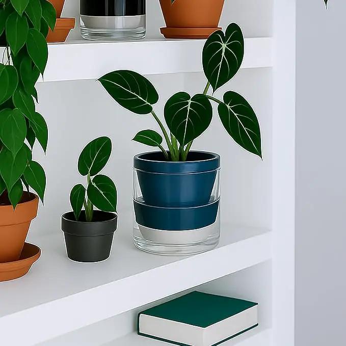 D'vine Dev 6 Inch Design Self Watering Planter for Indoor Plants, Blue Terracotta Pot with Cylinder Glass Cup, 37-X-B-4 by GreenHaven Gardens