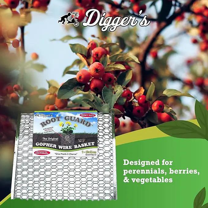Digger’s 1-Gallon Heavy-Duty Wire Basket - Gopher Wire Basket for Perennials & Vegetables (12 Baskets) by GreenHaven Gardens