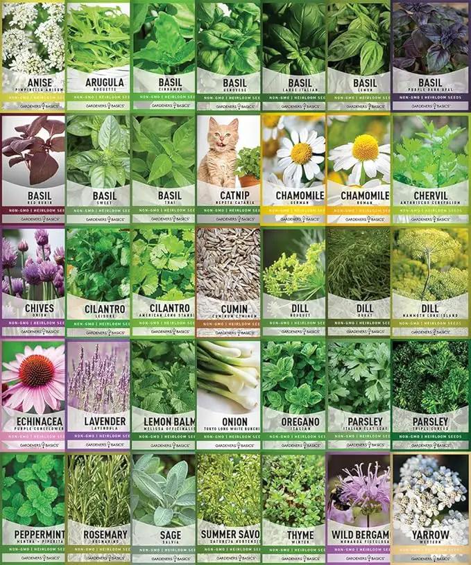 Gardeners Basics Complete Medicinal Herb Seeds for Planting Collection - 35 Best Herbs Variety Pack for Teas and Home Remedies - Indoor, Outdoor, Hydroponic Herbal Herbalist Seed - Non-GMO, Heirloom by GreenHaven Gardens
