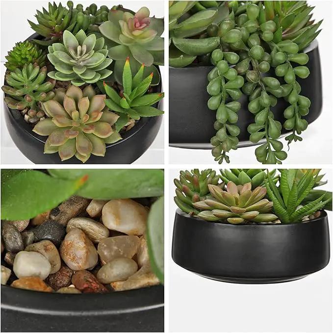 DILATATA Artificial Succulent Plants in Pot 5.5 Inch Fake Succulents Arrangement Potted Plant in Black Ceramic Planter Bowl for Home Office Desk Shelf Living Room Bedroom Bathroom Decor by GreenHaven Gardens