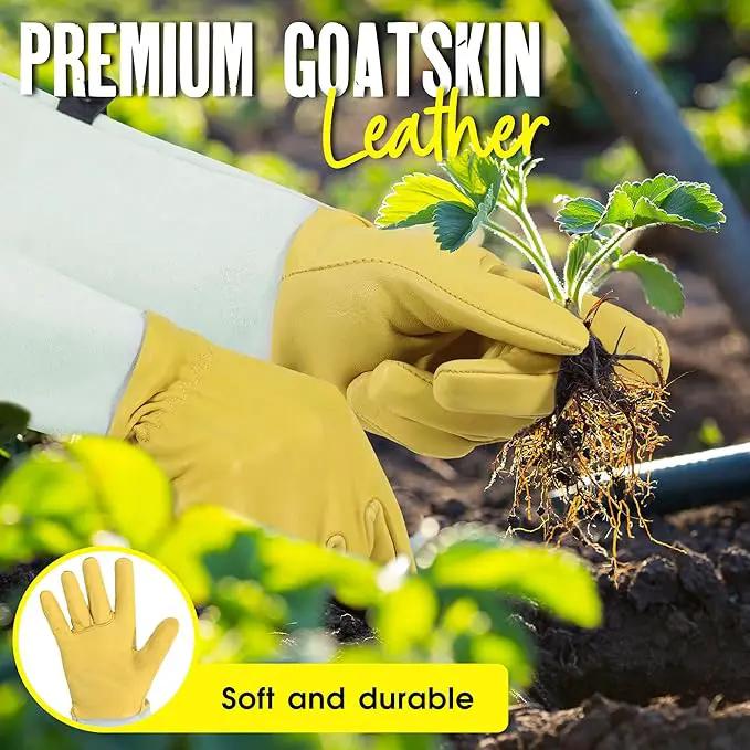 HANDLANDY Rose Gloves for Men & Women, Long Leather Gardening Gloves Thorn Proof, Best Garden Gifts & Tools for Gardener (Yellow-beige, X-Large (Pack of 1)) by GreenHaven Gardens
