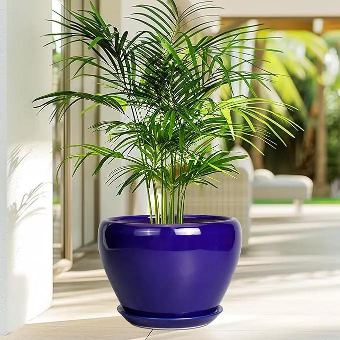 Ceramic Planter 10 Inch - Indoor Plant Pot for Plants with Drainage Hole and Saucer Large Planter Round Outdoor Flower Pot Mid-Century for House Patio Decor Blue by GreenHaven Gardens