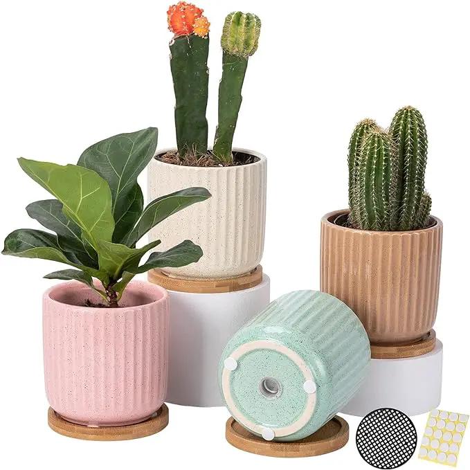 OMAYKEY 4 Inch Ceramic Plant Pot with Saucer, Adorable Stripe Multicolor Small Planters Pots with Drainage Hole & Mesh Pads for Succulent, Snake Plants, Cactus, Herbs - Set of 4 by GreenHaven Gardens