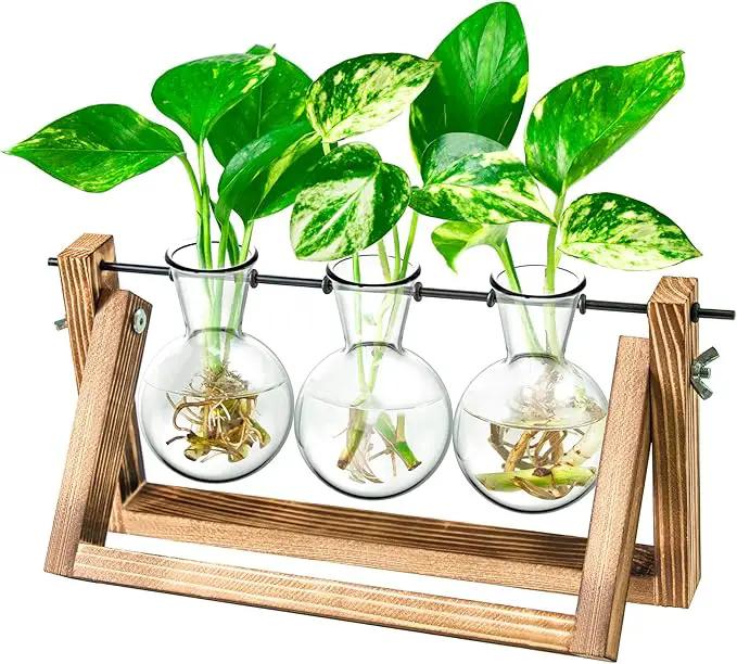 Ivolador Plant Propagation Station,Bulb Plant Terrarium with Wooden Stand,Unique Gardening Gifts for Women Plant Lovers,Hydroponic Indoor Planter Home Office Garden Wedding Decor-3 Bulb Glass Vases by GreenHaven Gardens
