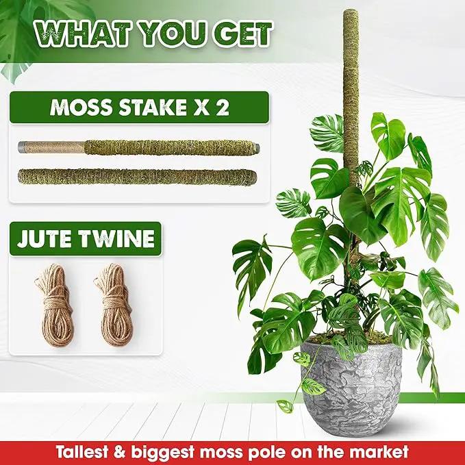 DUSPRO 80 Inches Large Moss Pole for Plants Monstera, Plant Stakes for Indoor Plants, Monstera Plant Support, Plant Support/Plant Pole for Big Climbing Plants Indoor (1pc., 80'') by GreenHaven Gardens