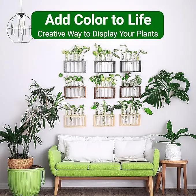 Ivolador Plant Propagation Station Terrariumin Wall Test Tube Vases Bud Tabletop Glass Wooden Stand with 5 Propagation Tubes for Propagating Hydroponic Plants Home Garden Wedding Decoration-Beige by GreenHaven Gardens