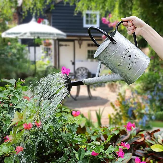 Galvanized Watering Can for Outdoor Indoor Plants, 1 Gallon Decorative Countryside Style Water Can with Removable Spout, Perfect Metal Watering Can for Indoor Plants and Garden Flower by GreenHaven Gardens