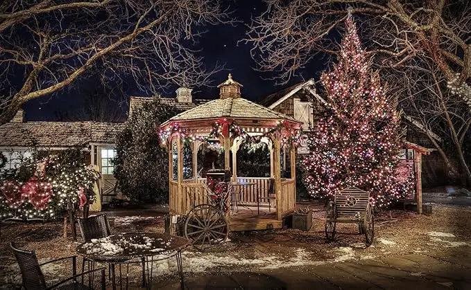 Outdoor String Lights, 1000 LED 328Ft Christmas Light with Remote, 8 Lighting Modes, Powered Plug for Wedding Party Garden Tree Yard Indoor Decorations by GreenHaven Gardens