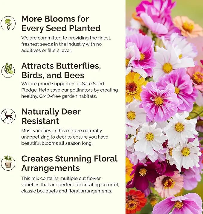 Eden Brothers Cosmic Zen Flower Mixed Seeds for Planting, 5 lb, 2,400,000+ Seeds with Zinnia Dahlia Flowered, Cosmos Sensation | Attracts Pollinators, Plant in Spring, Zones 3, 4, 5, 6, 7, 8, 9, 10 by GreenHaven Gardens