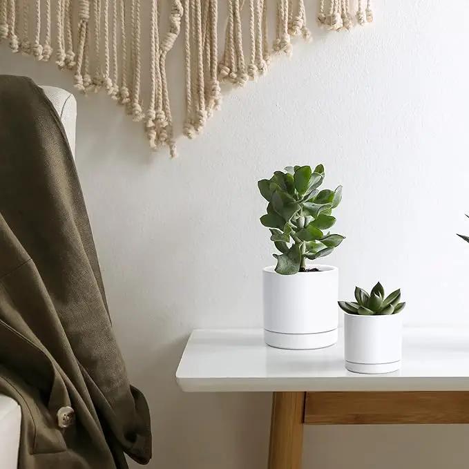 D'vine Dev 3.5 Inch & 4.7 Inch Ceramic Planter Pots for Plants with Drainage Hole and Saucer, X-Small Plant Pots Set, White, 94-G-XS-1 by GreenHaven Gardens