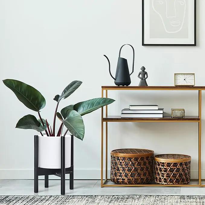 D'vine Dev Planter Pot with Stand - 8 Inch Plastic Cylinder Flower Pot with Wood Planter Holder for Indoor, Matte White Pot + Ebony Stand, 55-C-K-1 by GreenHaven Gardens