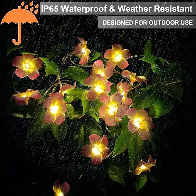 Solar Flowers Outdoor Waterproof - Petunia Blue Morning Glory Flowers&Solar Moth Orchid String Lights 12.5ft 10 LED Phalaenopsis Flower Solar Fairy Lights by GreenHaven Gardens
