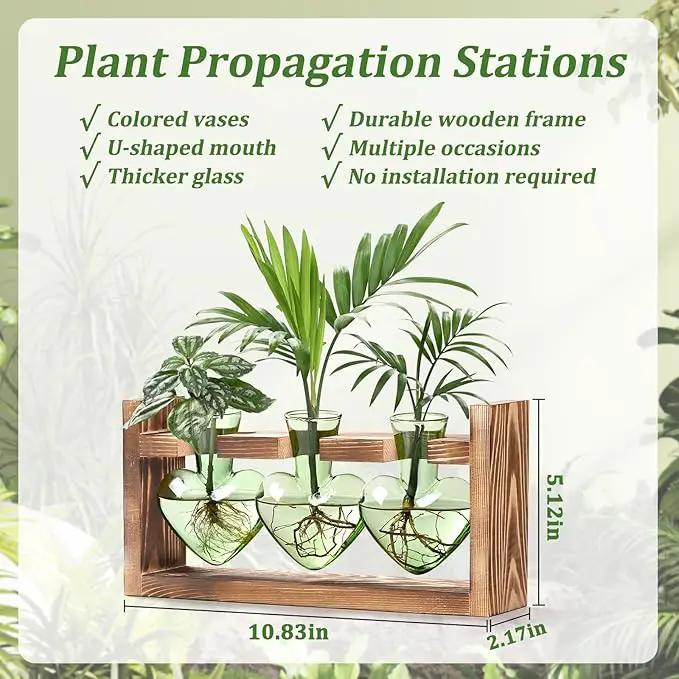 Lifecapido Heart Shaped Propagation Stations, Plant Terrarium with Wooden Stand, Plant Propagation Station for Hydroponics Office Garden Home Decor, Gifts for Women Plant Lover (3 Vases, Mint Green) by GreenHaven Gardens