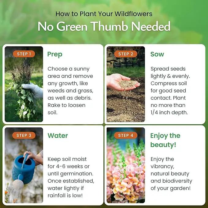 Created By Nature Hummingbird & Butterfly Wildflower Seed Mix, 18 Varieties, 60,000 Wildflower Seeds by GreenHaven Gardens