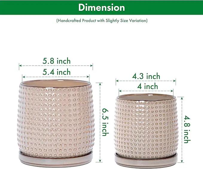 D'vine Dev 6 Inch 4 Inch Ceramic Indoor Planter Pots with Drainage Hole and Saucer, Beaded Design Flower Pots, Set of 2, Light Brown, 27-D-U-4 by GreenHaven Gardens
