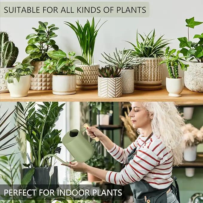 Watering Can Indoor Plants, 35oz Small Watering Can Indoor Stainless Steel Metal Watering Can Modern Decorative Watering Pot with Long Spout for Indoor House Plant Bonsai Garden Flowers (Sage Green) by GreenHaven Gardens