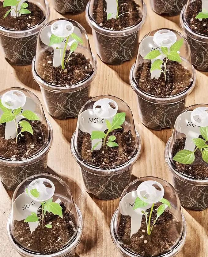 homenote Clear Nursery Pots for Plants,3 Inch Plant Pot for Planting with Humidity Domes Plastic Seedling with Drainage Holes Seed Starter Flower High Transparency (30 Pack) by GreenHaven Gardens