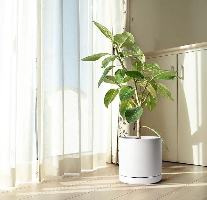 D'vine Dev 12 Inch Ceramic Planter Pot with Drainage Hole and Saucer, Indoor Cylinder Round Planter Pot, White, 94-O-F-1 by GreenHaven Gardens