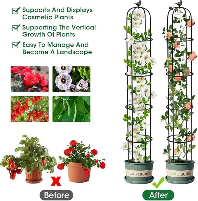 Garden Obelisk Trellis for Climbing Plants Outdoor 6.2 Ft Rose Bush Round Trellis for Pots Rustproof Metal Plant Flower Trellises for Clematis Vine Jasmine Support Outdoor Indoor (Black, 6.2ft) by GreenHaven Gardens