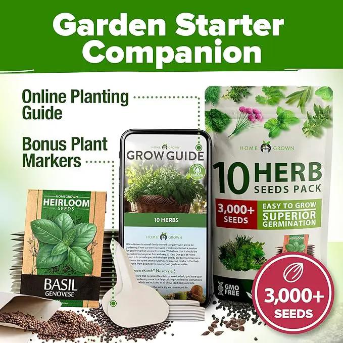 HOME GROWN 10 Herb Seeds for Planting 3,000+ Non-GMO Heirloom Seeds | Extra Large Variety Pack Herb Kit – Indoor Outdoor & Hydroponic | Culinary Seed Set | Grow Your Own Herbs | Gift for Beginners by GreenHaven Gardens