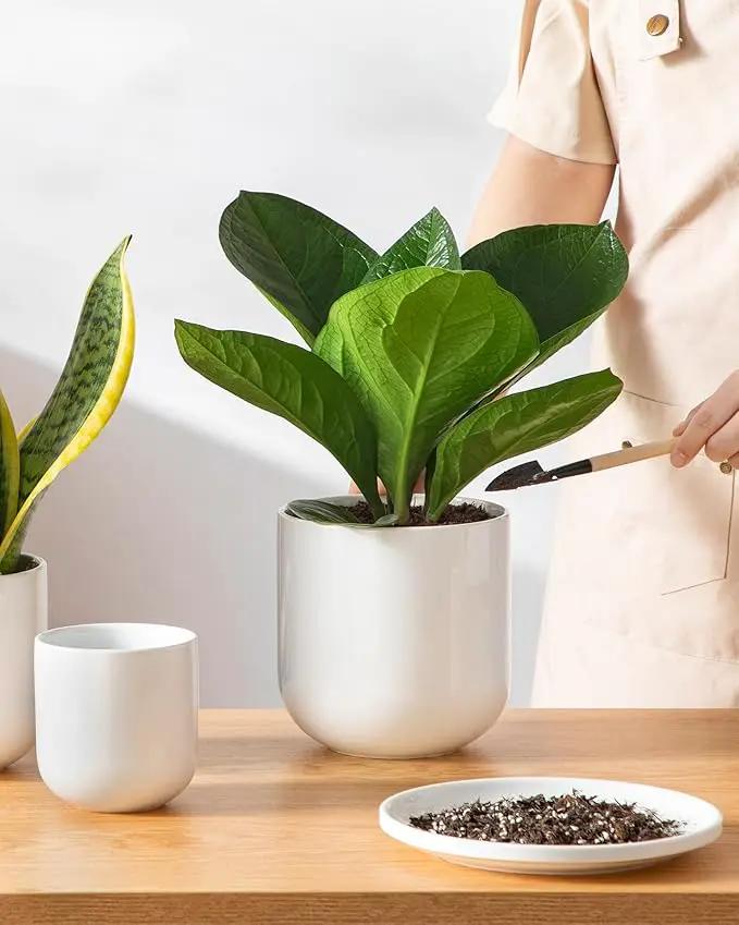 vancasso Ceramic Plant Pots, 4+5+6 inches, Set of 3, Planters with Drainage Hole, Flower Pots Planters Pots for Indoor Plants, Modern Indoor Decorative Garden Pot, Home Decor, White by GreenHaven Gardens