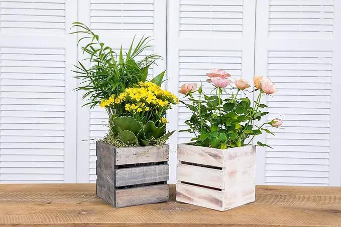 Wood Planter Box with Wine Crate Styled, 5 Inch Square, Whitewash, Plastic Liner, Garden Centerpiece Display, Wedding Flowers Holder, Home and Venue Decor (5x5 Wine Crate Set of 4, Whitewash) by GreenHaven Gardens