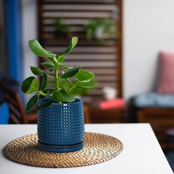 D'vine Dev 4 Inch Ceramic Beaded Stoneware Planter Pot - Flower Pot with Drainage Holes and Saucers for Indoor Succulent Plants or Flowers, Midnight Blue, 27-C-Z-3 by GreenHaven Gardens