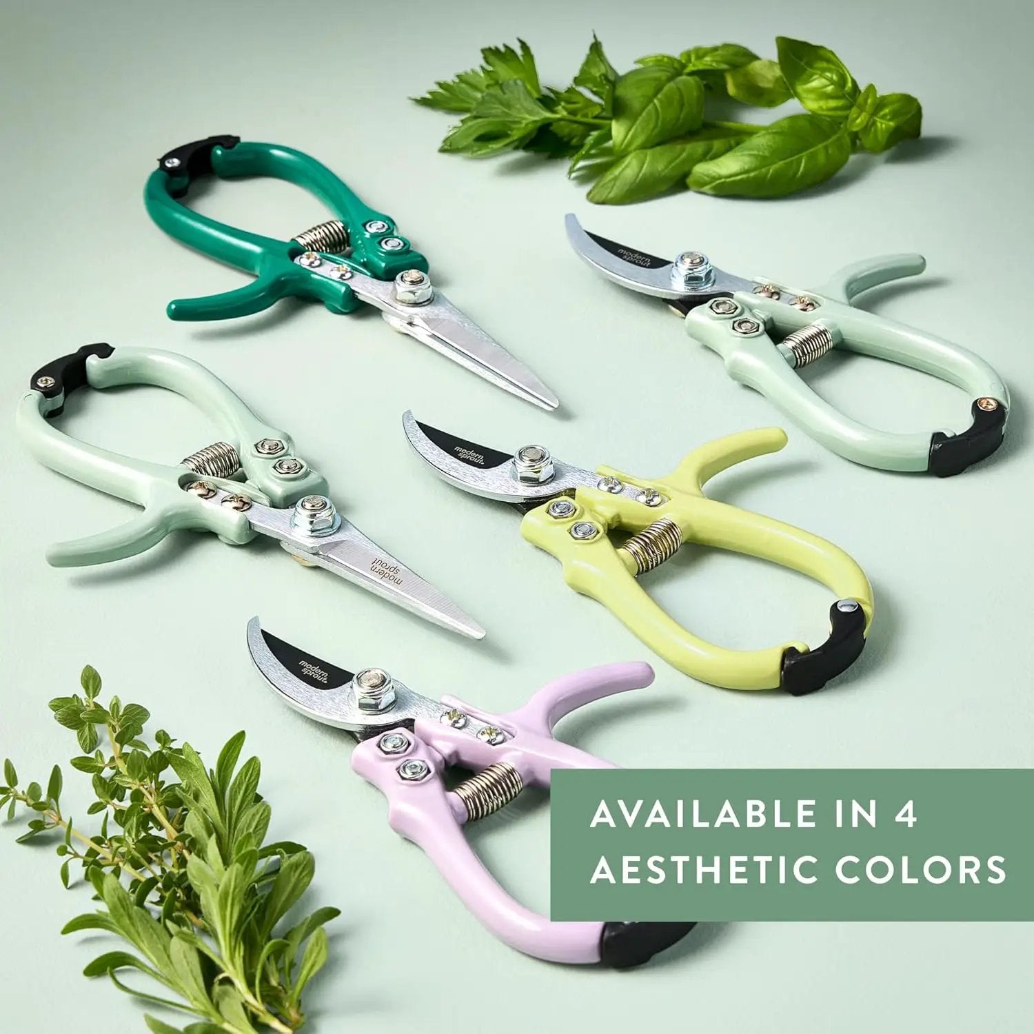 Modern Sprout Pruning Shears - Herb Snipping Scissors- Lightweight Gardening Tools W/Easy Lock - Flower Cutter Garden Shears - Carbon Steel Blade + Reusable Holster (Sage, 1-Pack) by GreenHaven Gardens