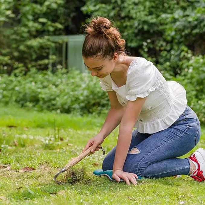 Berry&Bird Japanese Weeder-Scraper-Hoe, 12.67-Inch Gardening Sickle Hoe, Stainless Steel Bent Angle Weeding Sickle, Weeder Hoe with Ergonomic Ash Wood Handle for Weeding, Soil loosening, Digging