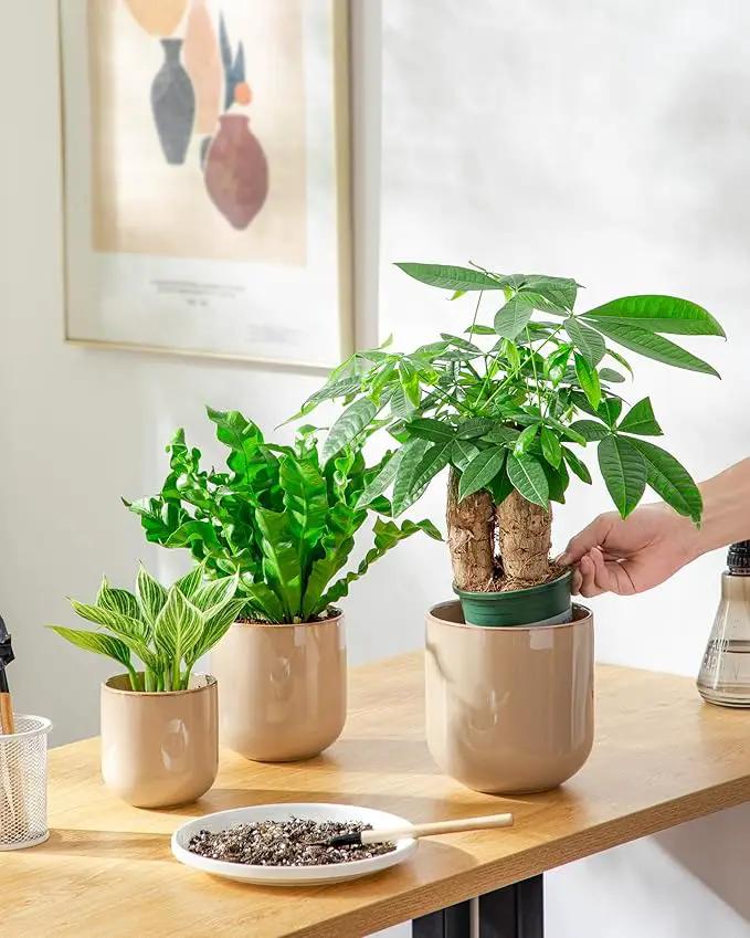 vancasso Ceramic Plant Pots, 4+5+6 inches, Set of 3, Planters with Drainage Hole, Flower Pots Planters Pots for Indoor Plants, Modern Indoor Decorative Garden Pot, Home Decor, Brown by GreenHaven Gardens