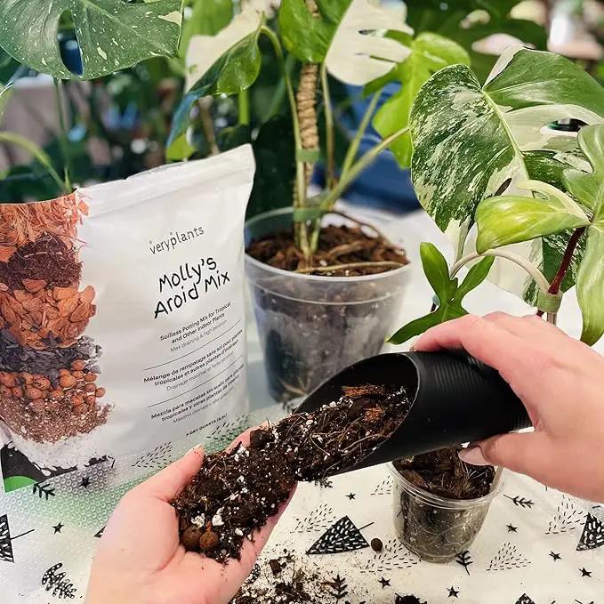 Molly's Aroid Mix - Premium Soilless Chunky Potting Mix for Tropical and Indoor Plants - Contains Orchiata Bark, Coco Chips, Worm Castings, Horticultural Charcoal, Mycorrhizae 5 Dry Quarts by GreenHaven Gardens