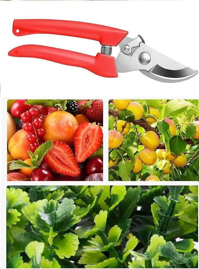 Garden Flower Shears Pruning Shears 6.9 inches Scissors Heavy Duty Plant Scissors for Cutting Flowers, Trimming Plants, Bonsai, Fruits Picking (Red Handle) by GreenHaven Gardens