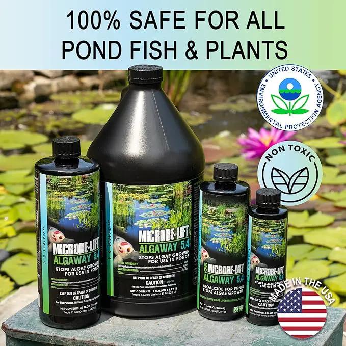 MICROBE-LIFT ALGA08 Algaway 5.4 Algae Control Treatment for Ponds and Water Gardens, Safe for Koi Fish, Goldfish, Plants, and Decorations, 8 Ounces by GreenHaven Gardens