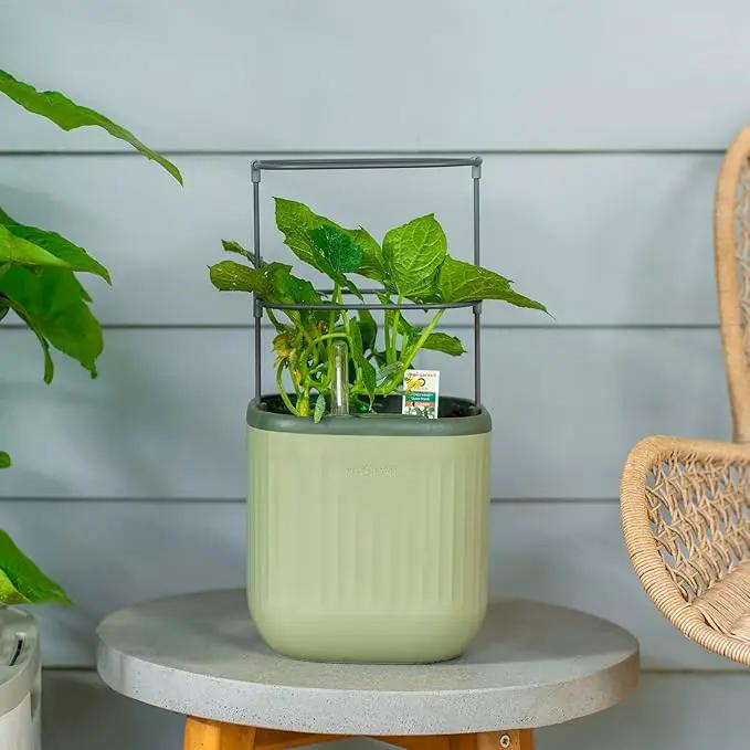 Vego garden Mini Planter Indoor Pots with Trellis Self-Watering Herb Countertop Planter for Climbing Vegetables Flowers Mint Plants Cage- Sage Green by GreenHaven Gardens