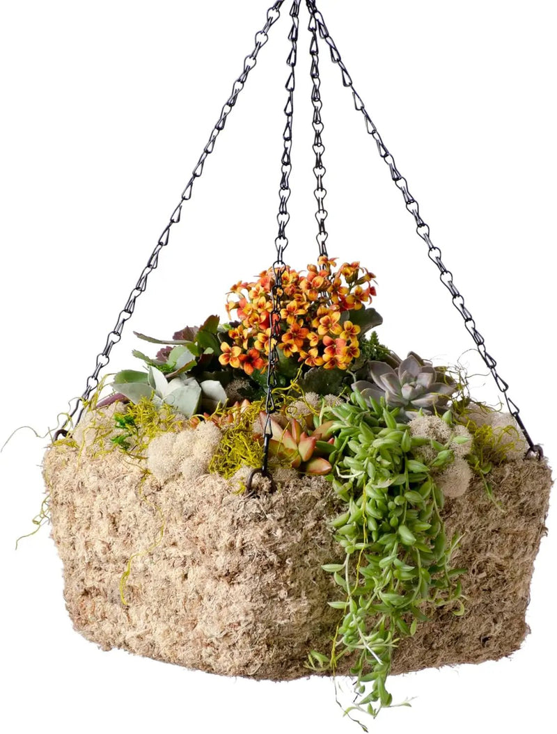 SuperMoss (29249D MossWeave Hanging Basket | Outdoor Hanging Planter with Moss | Decorative Plant Hanger for Porch, Balcony, Garden & Home Décor, Square, Small 10.5” D, Blond by GreenHaven Gardens