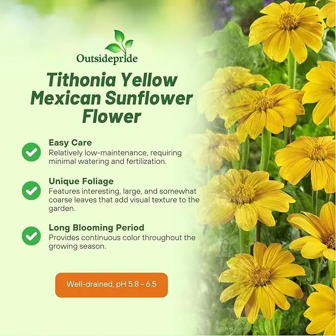Outsidepride Yellow Torch Mexican Sunflower Seeds - 500 Pcs Annual, Easy-to-Grow, Yellow Tithonia Speciosa Flower Seeds w/Drought-Tolerant Blooms for Pollinator Gardens & Vibrant Summer Landscaping by GreenHaven Gardens