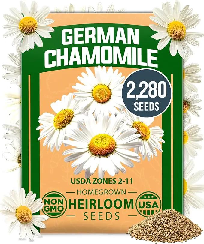 HOME GROWN 𝗨𝗦𝗔 𝗣𝗥𝗘𝗠𝗜𝗨𝗠 German Chamomile Seed Pack – 2,280 𝗡𝗢𝗡-𝗚𝗠𝗢 Heirloom Seeds for Planting for Sustainable Gardens and Soothing Medicinal Herbal Teas (Matricaria chamomilla) by GreenHaven Gardens