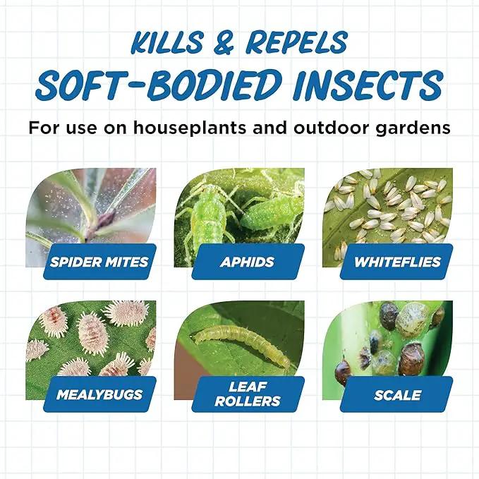 Earth's Ally Insect Control for Plants Ready-to-Use 24 oz | Safe Outdoor & Indoor Plant Insecticide, Spider Mite, Aphid & Mealybug Killer - Effective Spray for Organic Garden & Household Plants by GreenHaven Gardens