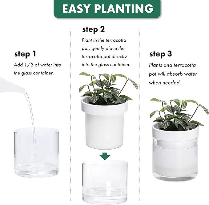 Phoenix Vine 4 Inch Self Watering Planter, White Terracotta Clay Pot with Glass Reservoir for Indoor Plants, Herbs, Flowers, Set of 4, 52-B-E-4 by GreenHaven Gardens