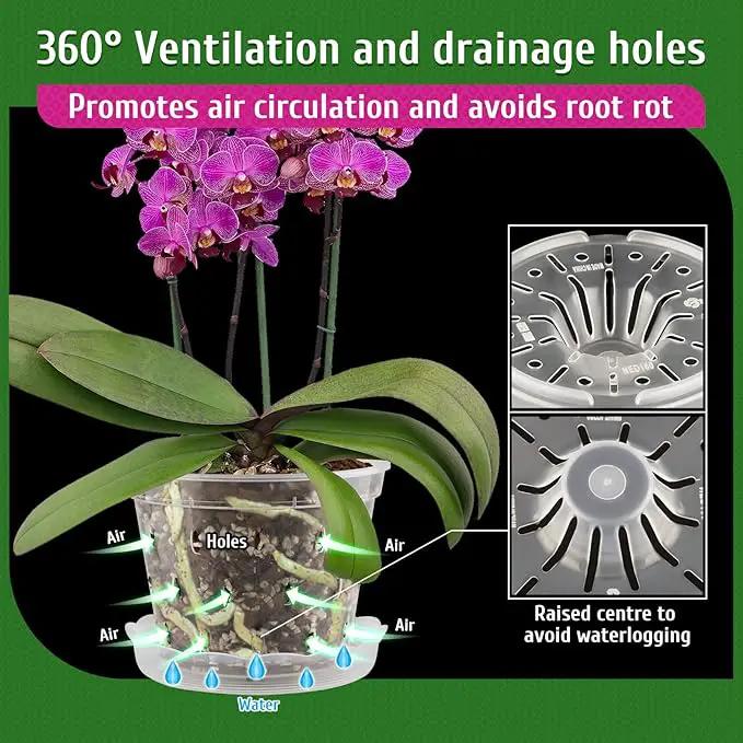 REMIAWY Orchid Pot, 8 Pack Orchid Pots with Holes and Saucers, 5.5 Inch Clear Plastic Flower Planters for Repotting Indoor Outdoor, Breathable Slotted Nursery Planter by GreenHaven Gardens