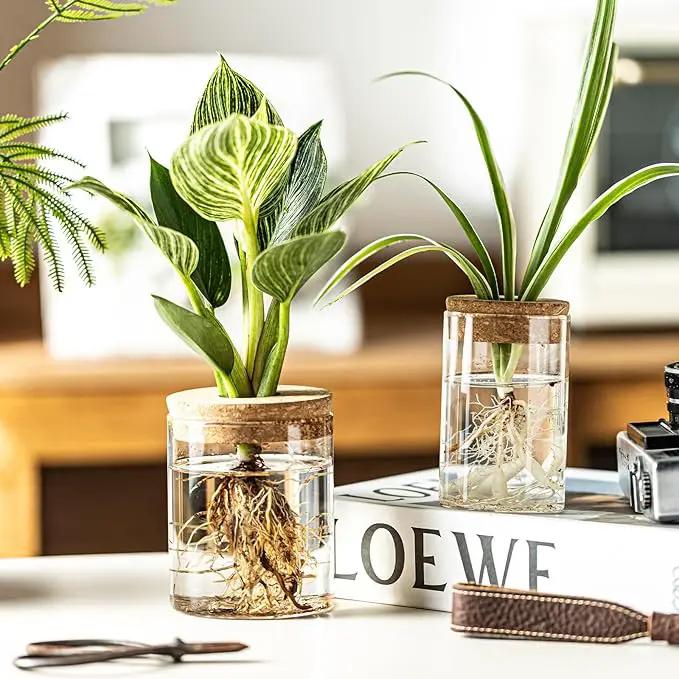 Glass Plant Propagation Stations for Plants – Set of 4(2 Large & 2 Small) Hydroponic Vases for Plant Cuttings,Flower Arrangements, Home & Office Decor–Desktop Vases for Living Room, Bedroom (4) by GreenHaven Gardens