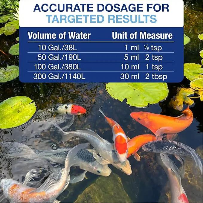 Aquascape Algaecide for Ponds, Waterfalls, and Fountains – Fast-Acting Algae Control, 32 oz / 946 ml, 96024 by GreenHaven Gardens