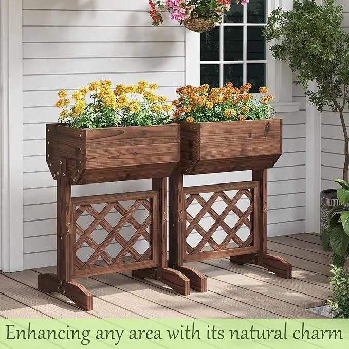 Raised Garden Bed, Standing Vertical Horticulture Planter Box for Backyard, Patio, Balcony, Planter for Flowers Herbs Vegetables for Indoor & Outdoo Decor with Trellis (Carbonized) by GreenHaven Gardens