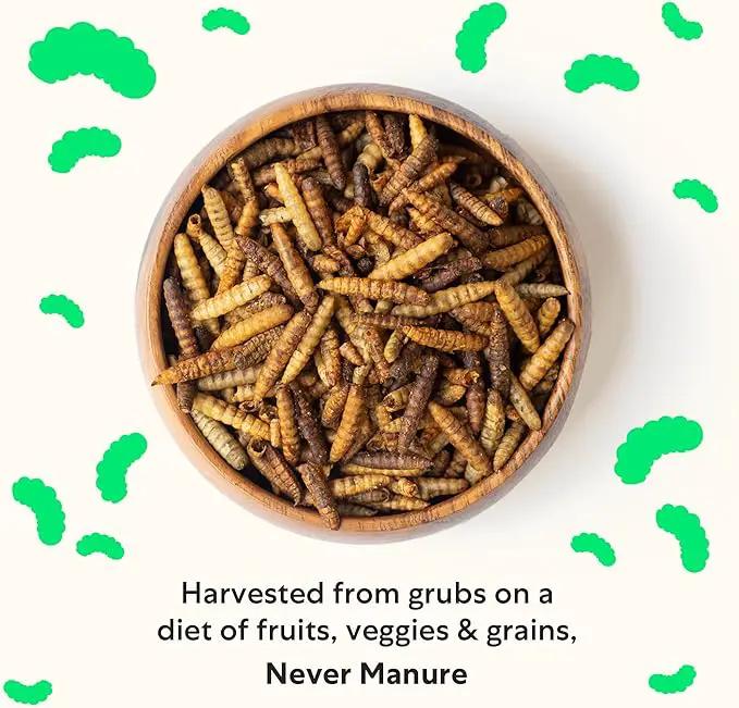Grubblies - Black Soldier Fly Larvae for Chickens - Chicken Treats Grown in The US and Canada - for Strong Eggshells and Healthy Feathers - Grubblies Hometown Harvest 5LB by GreenHaven Gardens