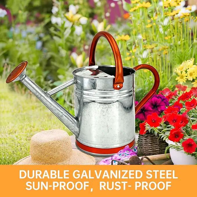 Metal Watering Can for Outdoor Plants, Galvanized Steel Watering Can with Removable spout, 1 Gallon,Perfect Home & Garden Décor Retro Zinc Hue by GreenHaven Gardens