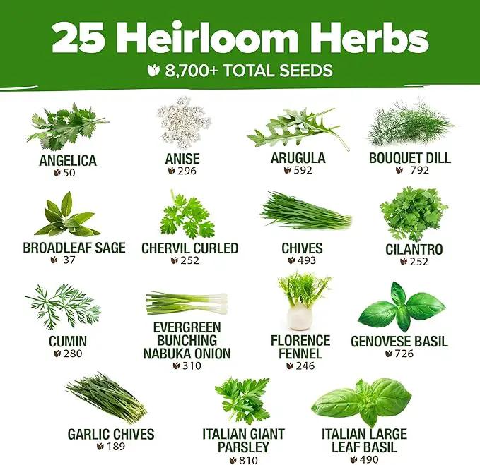 HOME GROWN 25 Herb Seeds for Planting 8,700+ Non-GMO Heirloom Seeds | Extra Large Variety Pack Herb Kit – Indoor Outdoor & Hydroponic | Culinary Seed Set | Grow Your Own Herbs | Gardening Gift by GreenHaven Gardens