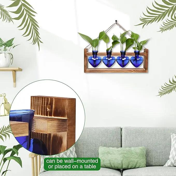 Plant Propagation Stations Heart Plant Terrarium Kit Gift for Women Plant Lover Glass Vases by GreenHaven Gardens