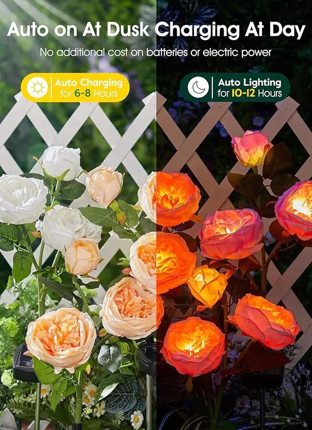 Brightown Solar Garden Lights - 4 Pack Solar Flowers Lights with Larger & More Realistic Austin Rose, Bigger Solar Panel, Solar Lights for Outside Waterproof for Yard Patio Garden Decoration by GreenHaven Gardens